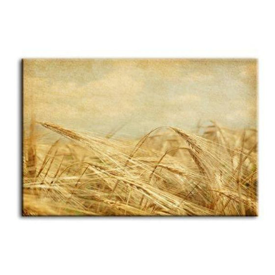 Field Of Golden Wheat Canvas Wall Art