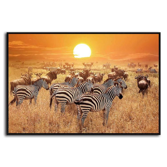 African Zebras 1 Panel Canvas Wall Art