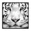White Tiger Canvas Wall Art