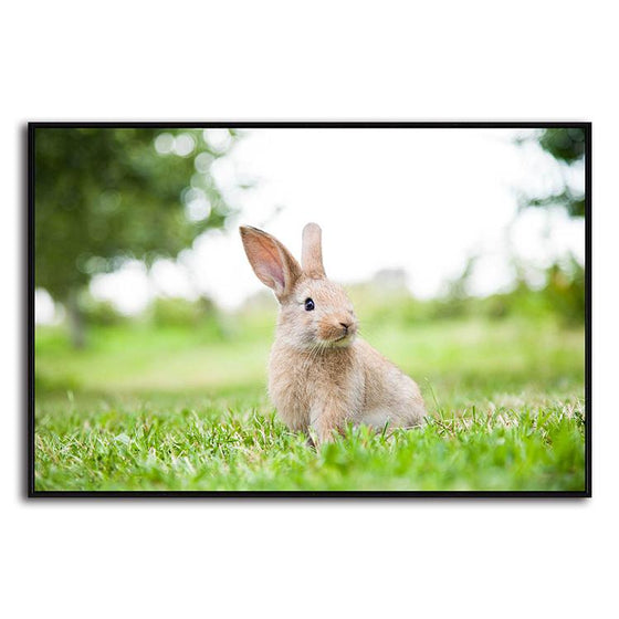 Cute Rabbit In The Grass Canvas Art