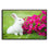 Cuddly Rabbit & Pink Flowers Canvas Art