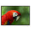 Perched Red Parrot 1 Panel Canvas Art