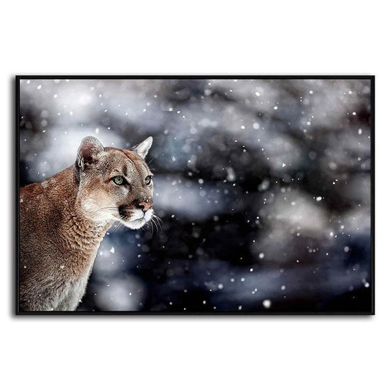 Wild Cougar Canvas Art