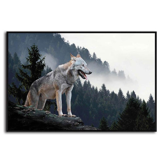 Lone Wild Gray Wolf Canvas Art