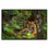 Tiger In The Wild 1 Panel Canvas Wall Art