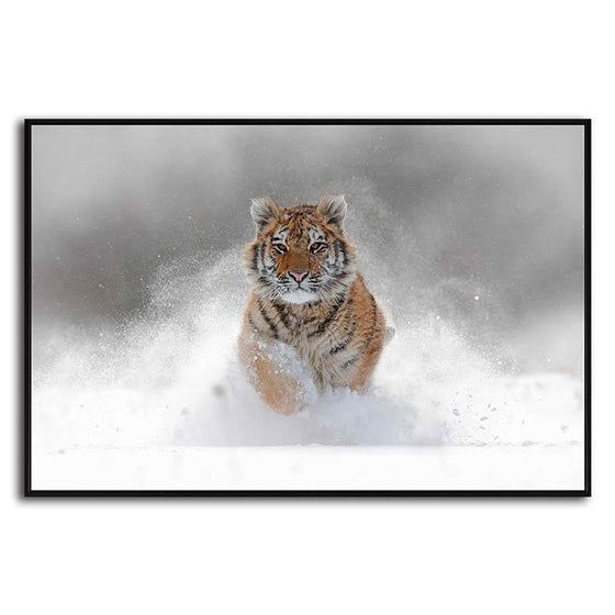 Running Wild Tiger Canvas Art