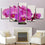 Pink Moth Orchids Canvas Wall Art Living Room