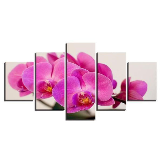 Pink Moth Orchids Canvas Wall Art Prints