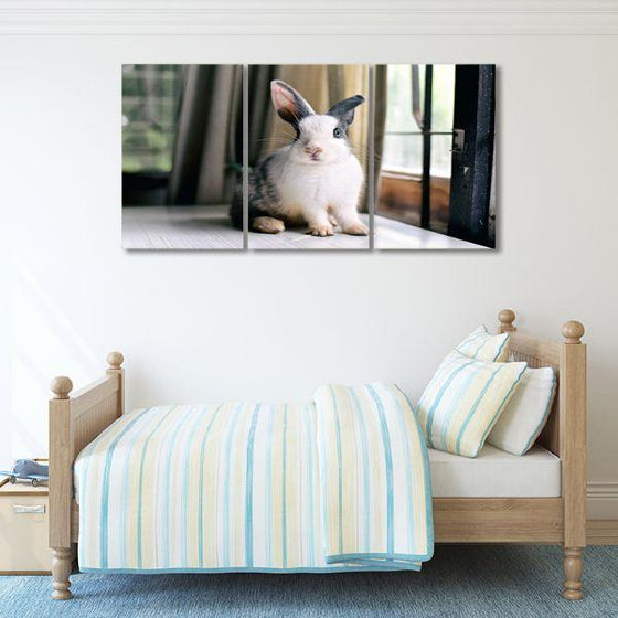 Fluffy Grey Rabbit 3 Panels Canvas Wall Art Bedroom