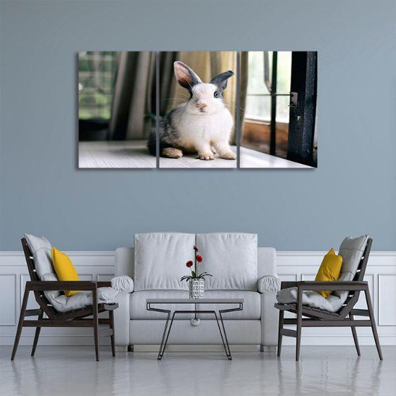 Fluffy Grey Rabbit 3 Panels Canvas Wall Art Living Room
