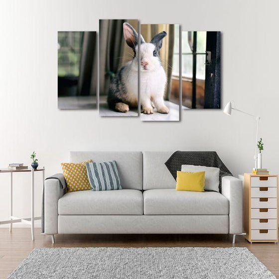 Fluffy Grey Rabbit 4 Panels Canvas Wall Art Living Room