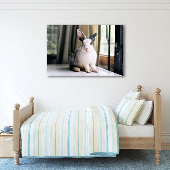 Fluffy Grey Rabbit Canvas Wall Art Bedroom