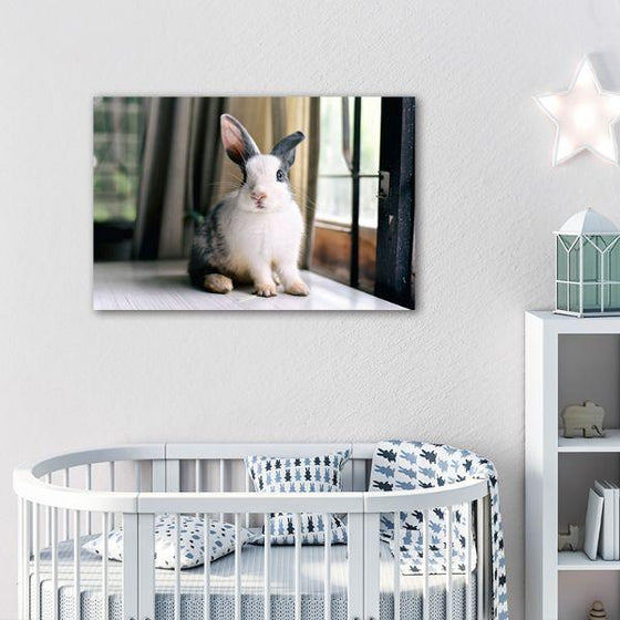 Fluffy Grey Rabbit Canvas Wall Art Nursery