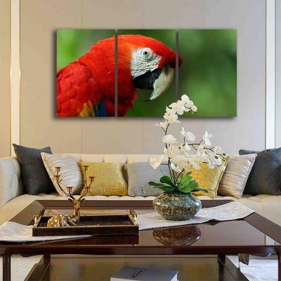 Flying Wild Parrot 3 Panels Canvas Wall Art Living Room