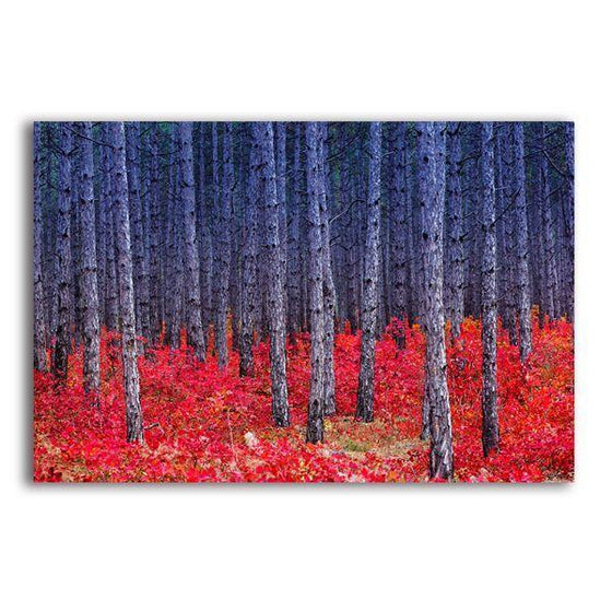 Forest With Smoke Bush 1 Panel Canvas Wall Art