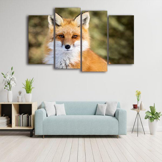 Adorable Wild Red Fox 4 Panels Canvas Wall Art Decor