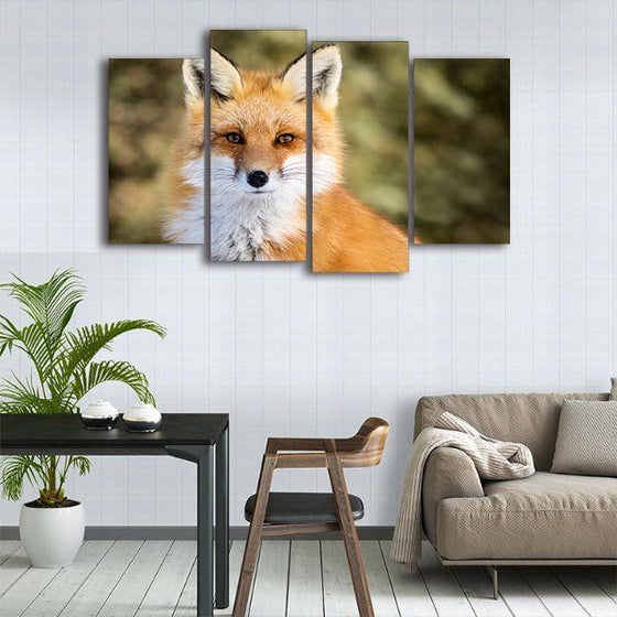 Adorable Wild Red Fox 4 Panels Canvas Wall Art Kitchen