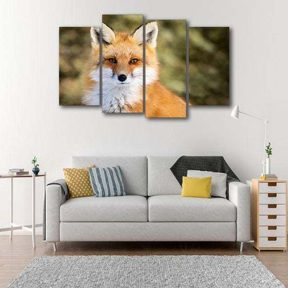 Adorable Wild Red Fox 4 Panels Canvas Wall Art Prints