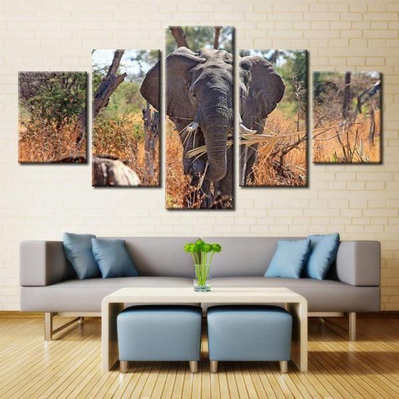 Framed Elephant Wall Art