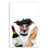 French Jack Russell Dog Canvas Wall Art