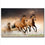 Galloping Wild Horses Canvas Wall Art