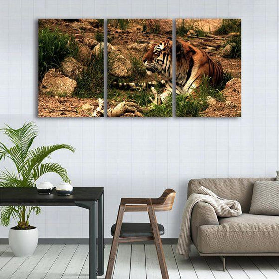 Giant Wild Tiger Canvas Wall Art Set