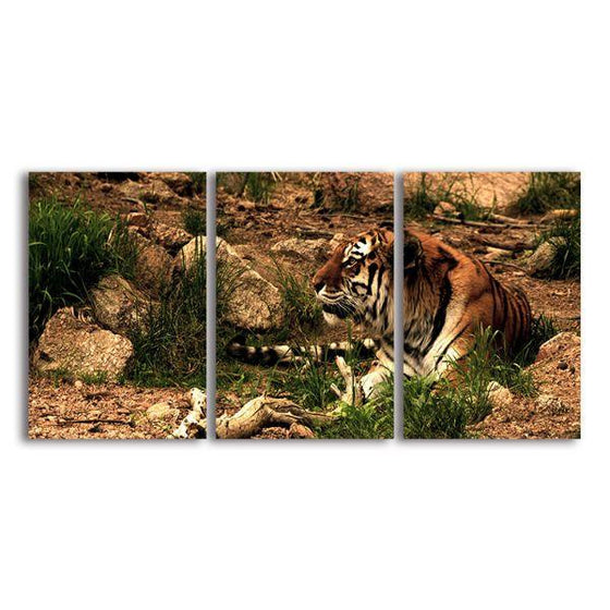 Giant Wild Tiger Canvas Wall Art