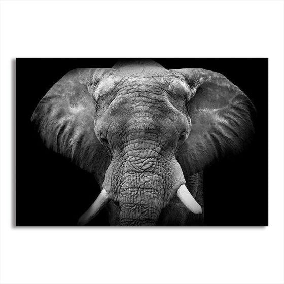 Gray Elephant Canvas Wall Art