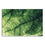 Green Foliage Shot Canvas Wall Art