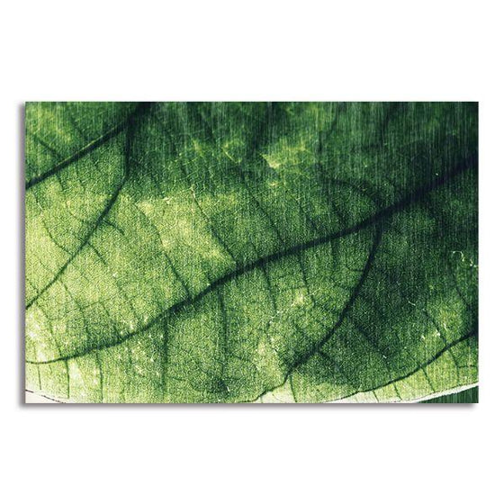 Green Foliage Shot Canvas Wall Art