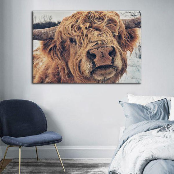 Highland Cattle Face Canvas Wall Art Bedroom