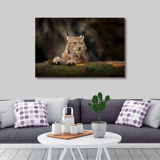 Hunting Lynx 1 Panel Canvas Wall Art Living Room