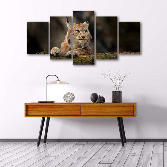 Hunting Lynx 5 Panels Canvas Wall Art Print