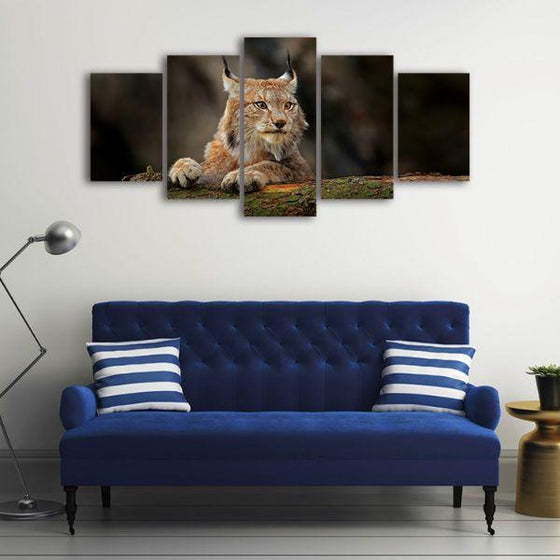 Hunting Lynx 5 Panels Canvas Wall Art Set