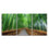 Japan Bamboo Park 3 Panels Canvas Wall Art