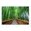 Japan Bamboo Park Canvas Wall Art