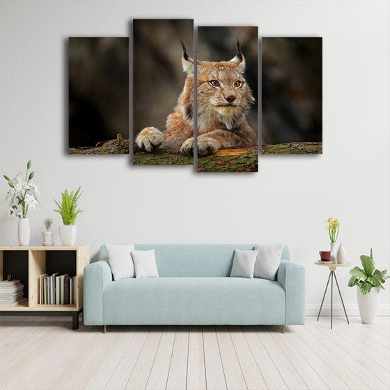 Jungle Cat Lynx Canvas Wall Art Decor
