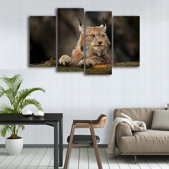 Jungle Cat Lynx Canvas Wall Art Kitchen