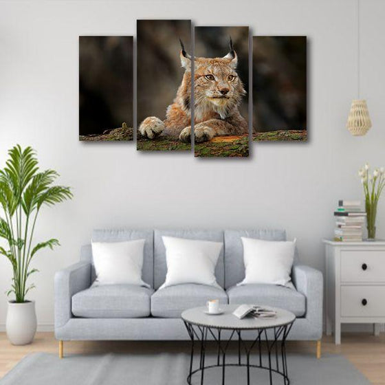 Jungle Cat Lynx Canvas Wall Art Prints