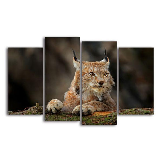 Hunting Lynx 4 Panels Canvas Wall Art