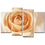 Light Orange Rose Wall Art