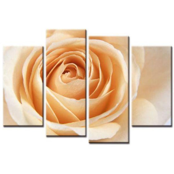 Light Orange Rose Wall Art