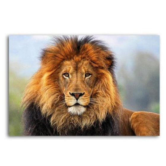 Magnificent Lion Canvas Art