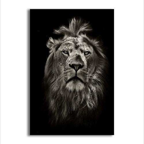 Magnificent Wild Lion Canvas Wall Art