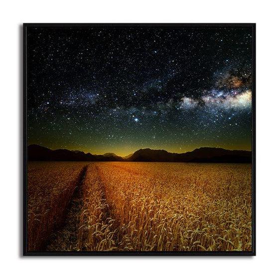 Meadow Under Starry Night Sky Canvas Wall Art Print