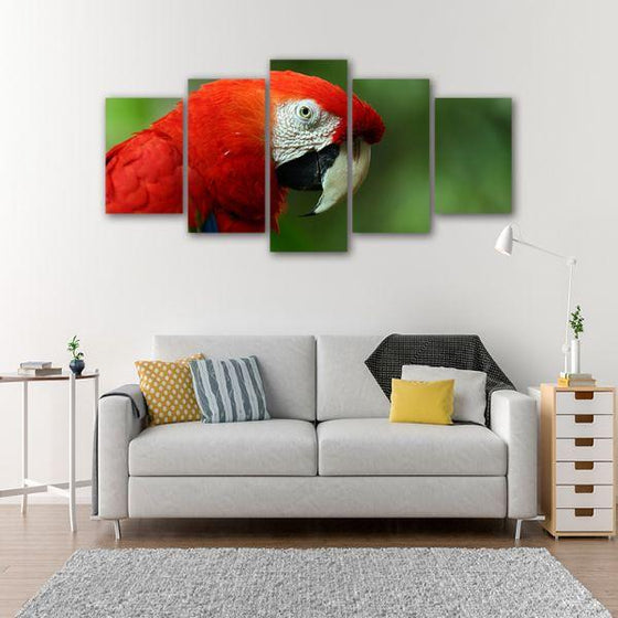 Perched Red Parrot 5 Panels Canvas Wall Art Prints