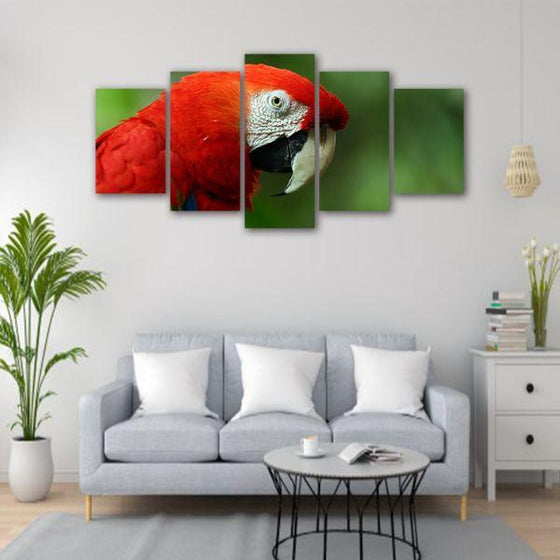 Perched Red Parrot 5 Panels Canvas Wall Art Office