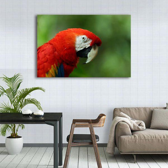 Perched Red Parrot 1 Panel Canvas Wall Art Decor