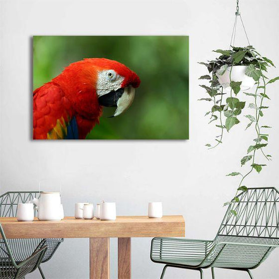 Perched Red Parrot 1 Panel Canvas Wall Art Kitchen