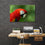 Perched Red Parrot 1 Panel Canvas Wall Art Office
